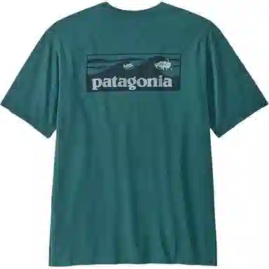 patagonia T