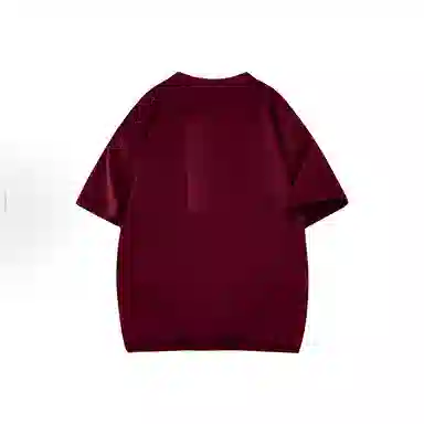 VNHP T