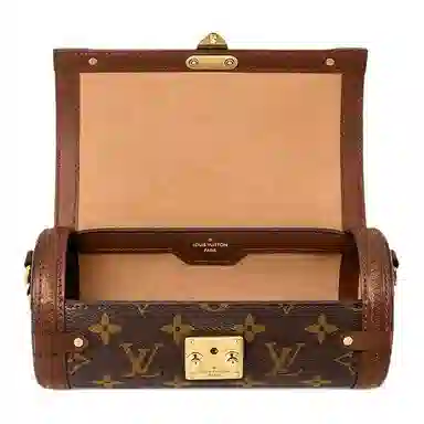 Louis Vuitton Papillon Trunk