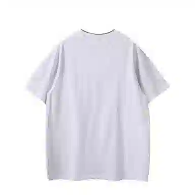 PINSCIO ZENIE T