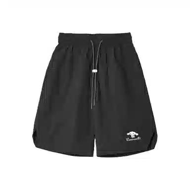 Sanrio x CINNAMOROLL