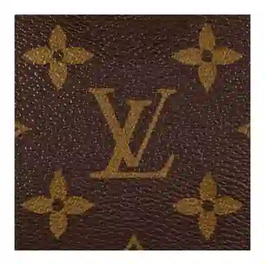 Louis Vuitton Speedy Nano