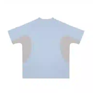 FDR T
