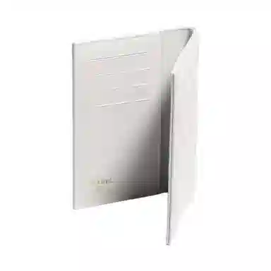 CHANEL 25A Light Grey