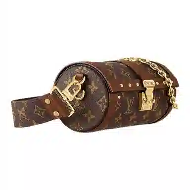 Louis Vuitton Papillon Trunk