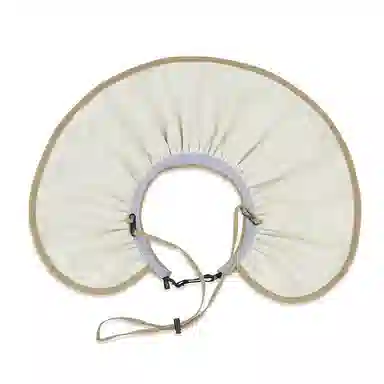 Dickies Sun Visor Hat