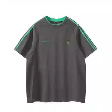 PINSCIO ZENIE T