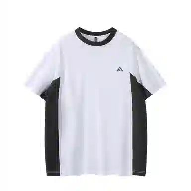 PINSCIO ZENIE T
