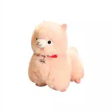25cm35cm45cm