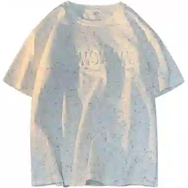 PINSCIO ZENIE T