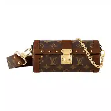 Louis Vuitton Papillon Trunk