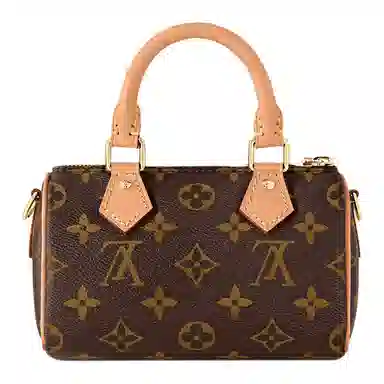 Louis Vuitton Speedy Nano
