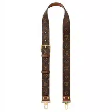 Louis Vuitton Papillon Trunk