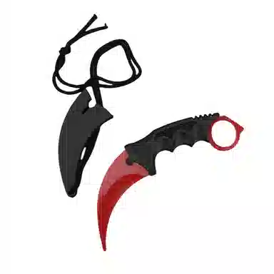 cs2