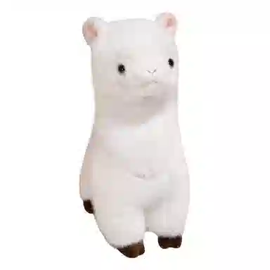 30cm40cm