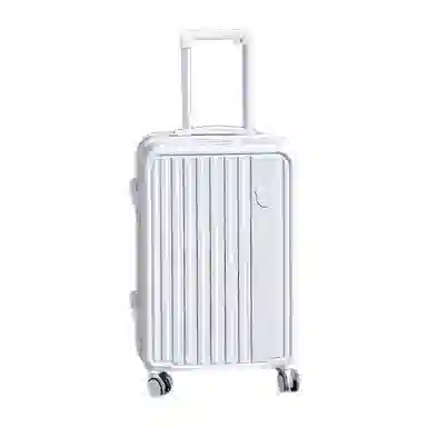 SEA LION PVC 2023252622