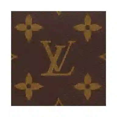LOUIS VUITTON Enveloppe Carte De Visite
