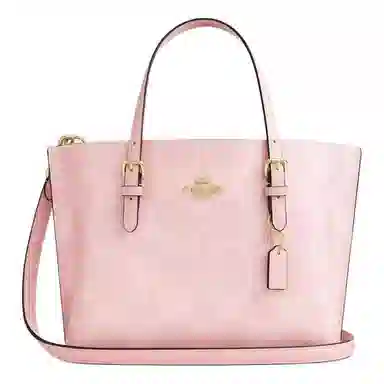 COACH Mollie 25 Tote