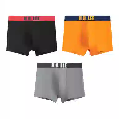 Lee LogoLogo 3