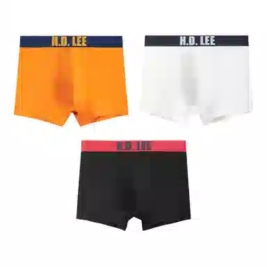 Lee LogoLogo 3