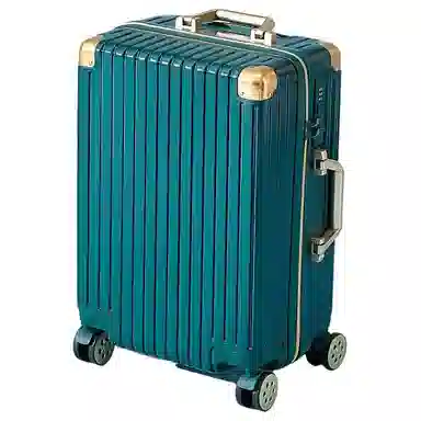 SEA LION PC 20242622