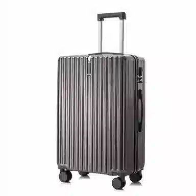 SEA LION ABS+PC 20232522