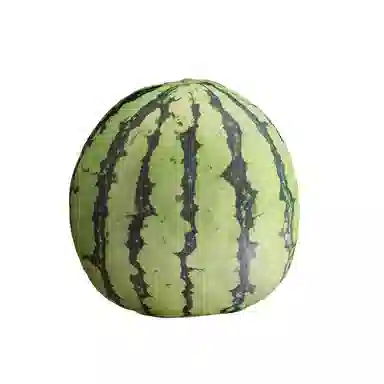 AECELI 43cm