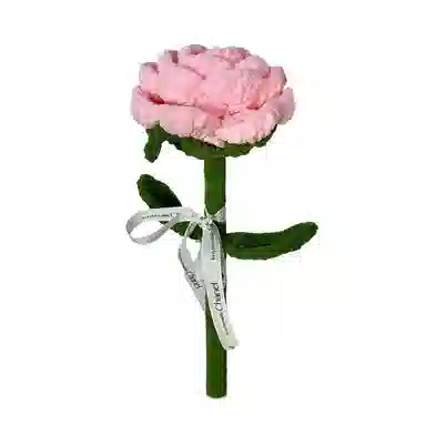 朵喵呦 巨无霸玫瑰花 永生花仿真针织毛线花束 玩偶周边