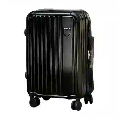 SEA LION PVC 2023252622