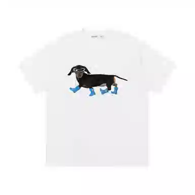 PINSCIO ZENIE T