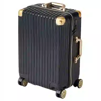 SEA LION PC 20242622