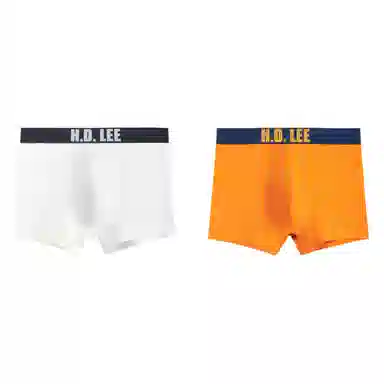 Lee LogoLogo 3