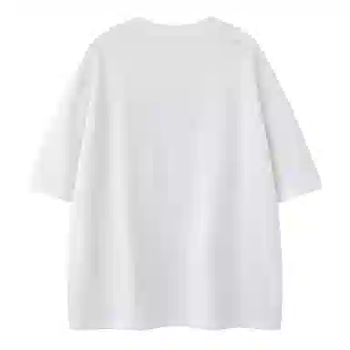PINSCIO ZENIE T