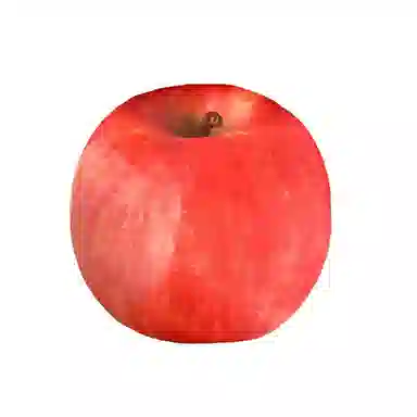 AECELI 43cm