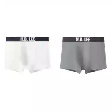 Lee LogoLogo 3