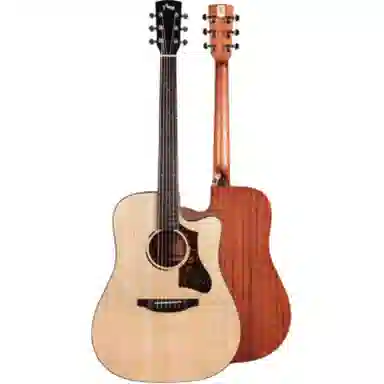 TYMA ()2 TG-2TG-2PTD-2 GAD