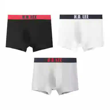 Lee LogoLogo 3