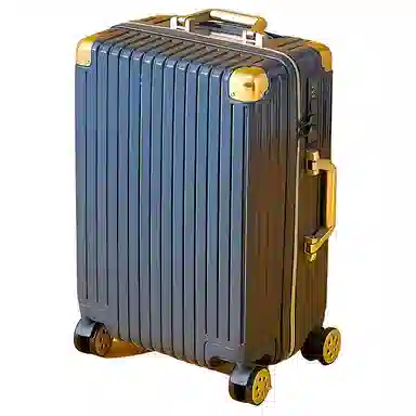 SEA LION PC 20242622