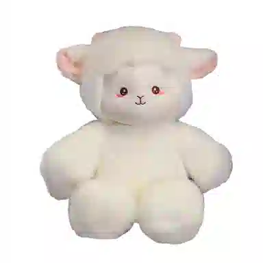 CANEXT 45cm
