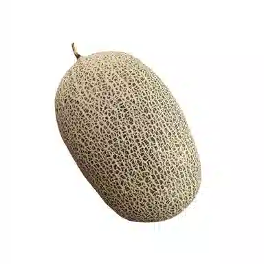 AECELI 43cm