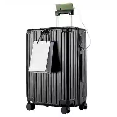 SEA LION PC 2024262228