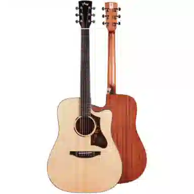 TYMA ()2 TG-2TG-2PTD-2 GAD