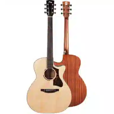 TYMA ()2 TG-2TG-2PTD-2 GAD