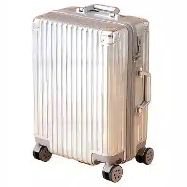 SEA LION PC 20242622