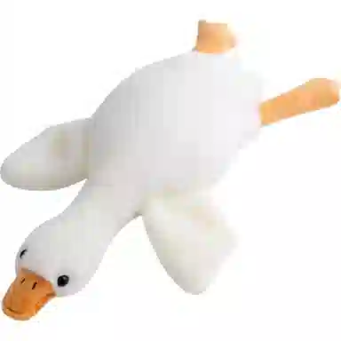 50cm90cm130cm160cm190cm