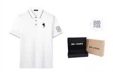 CSKS LogoPoloPolo