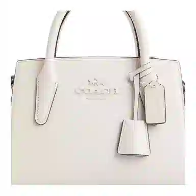 COACH Andrea Carryall