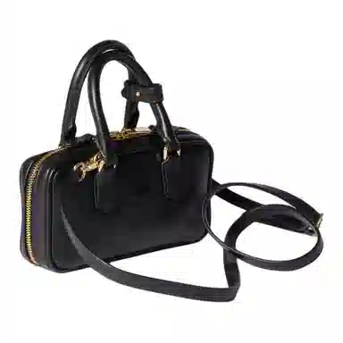 Miu Miu Arcadie Mini