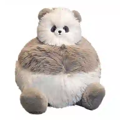25cm