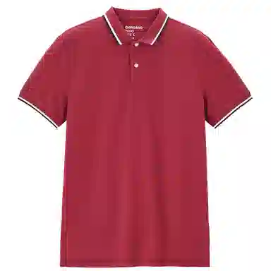 poloPolo